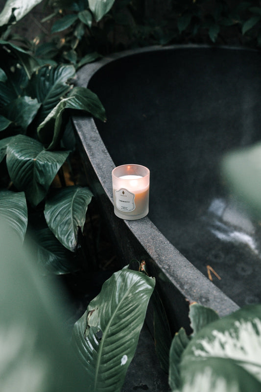Lit Ollie & Co. soy candle with an even melt pool resting on a bathtub edge surrounded by greenery