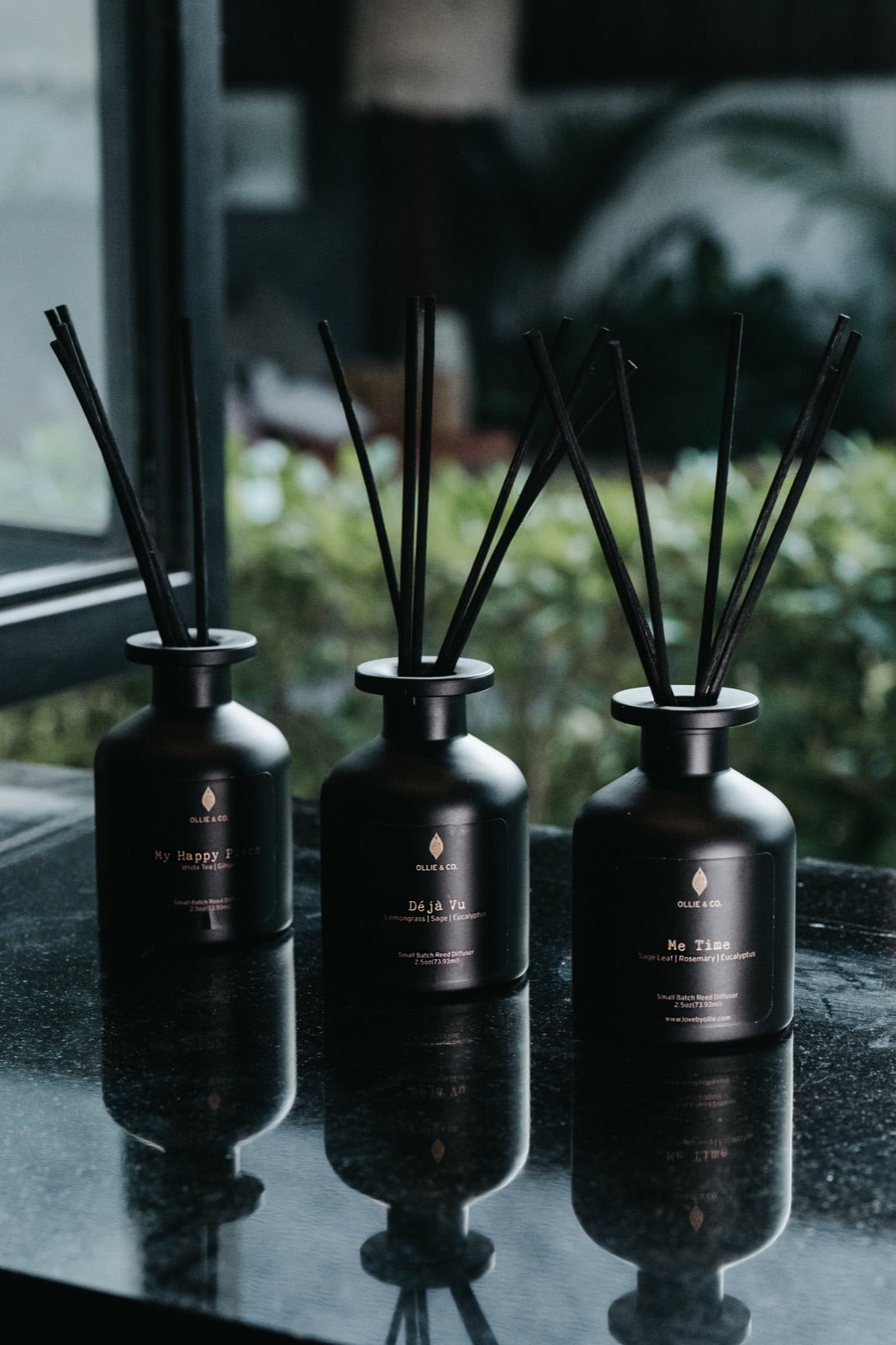 Three Ollie & Co. reed diffusers with black reeds placed in a row by a window