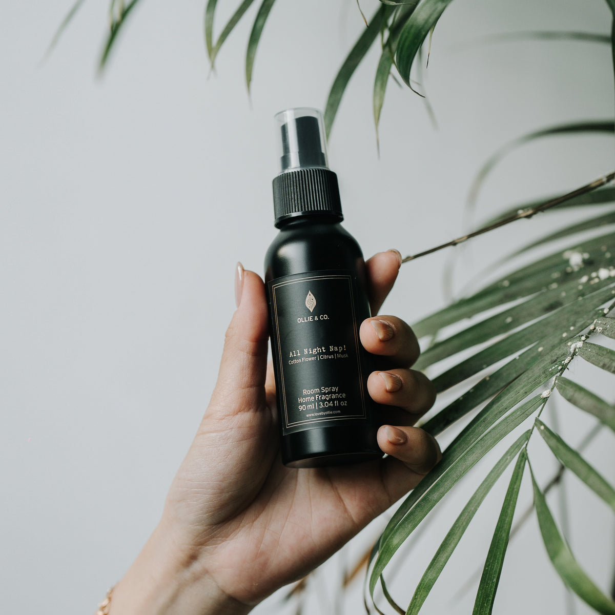 All Night Nap! by Ollie & Co. with cotton flower, musk, citrus.
