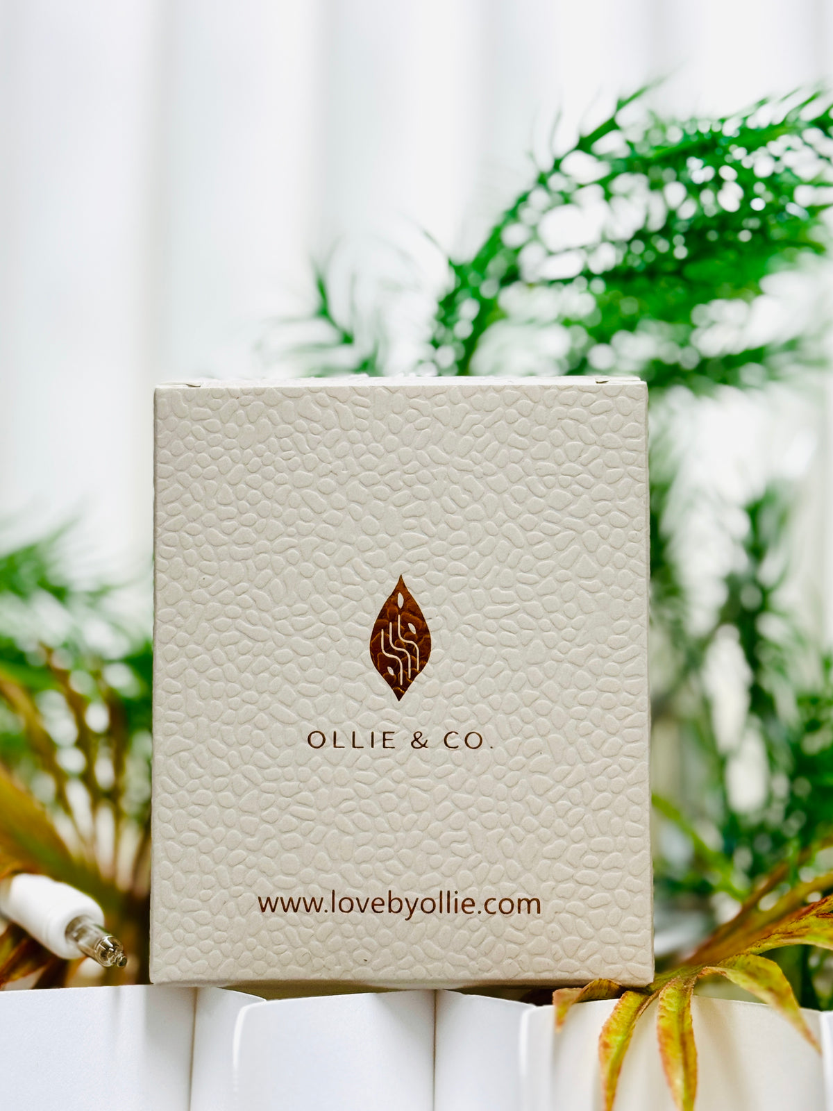 Sencha for BC Children's Hospital Foundation by Ollie & Co. with sencha, Japanese green tea, clean herbal aroma.