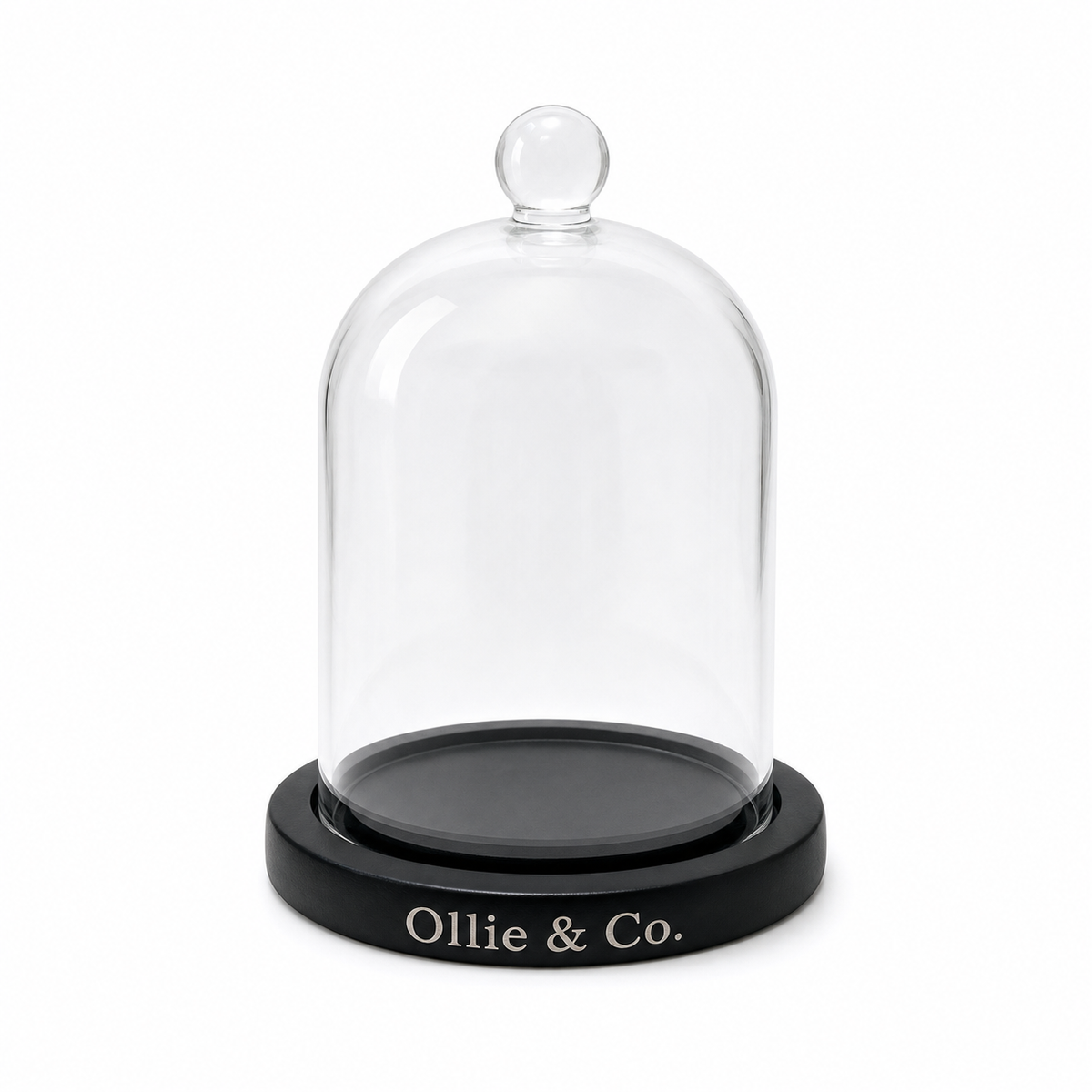 Glass Cloche by Ollie & Co.