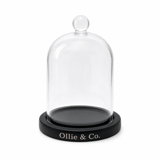 Glass Cloche by Ollie & Co.